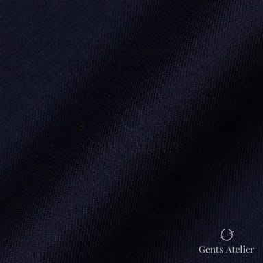Драпировка ткани Guabello TRG4001 крупным планом