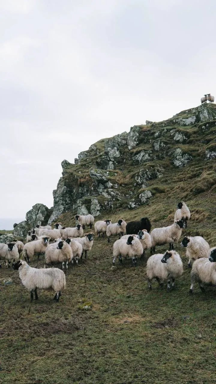 Продолжаем рассказывать о твиде