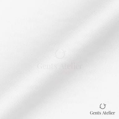 Драпировка ткани Canclini 4691-W010-0101 крупным планом