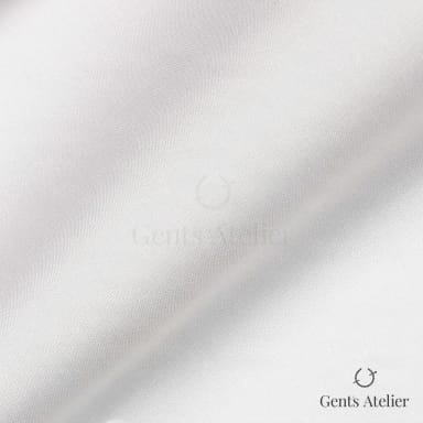 Драпировка ткани Canclini 3034-W010-0031 крупным планом