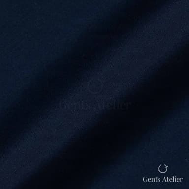 Драпировка ткани Albini FL406994-001209 крупным планом