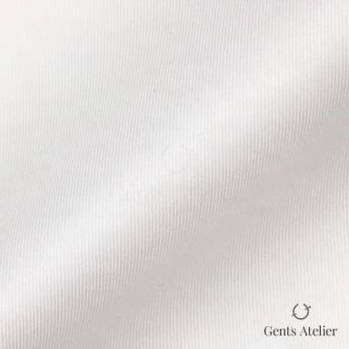 Драпировка ткани Geneva TSHL1142 крупным планом