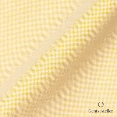 Драпировка ткани Geneva TSHL1187 крупным планом