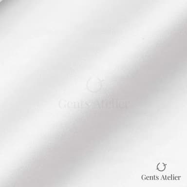 Драпировка ткани Canclini 7428D-W010-0101 крупным планом