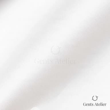 Драпировка ткани Canclini 4207-W14640-0101 крупным планом