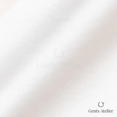 Драпировка ткани Canclini 3245-W090-0101 крупным планом
