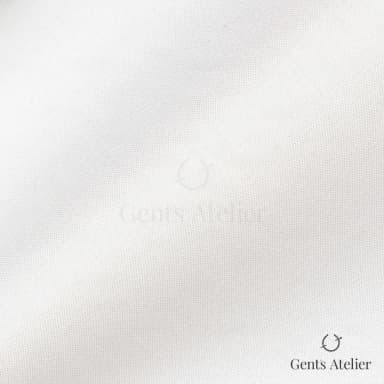 Драпировка ткани Canclini 3120-W010-0101 крупным планом