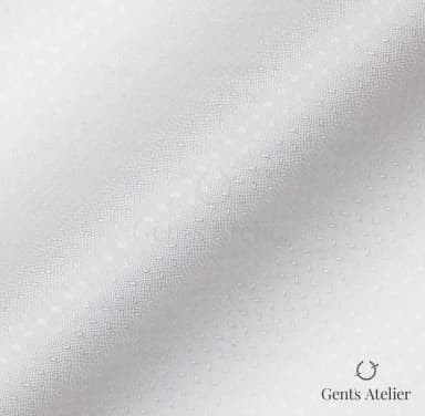Драпировка ткани James Fabric 80229 001 крупным планом
