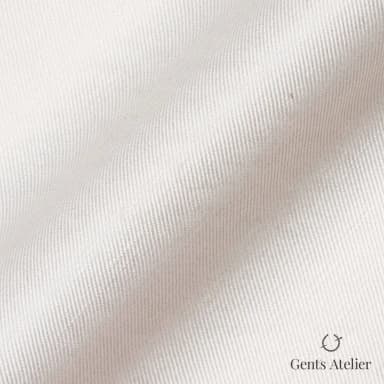 Драпировка ткани Ermenegildo Zegna 59222 крупным планом