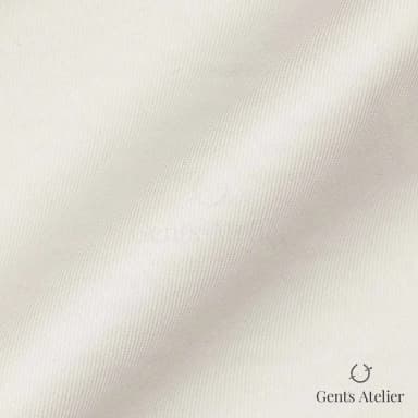 Драпировка ткани Vitale Barberis Canonico 1250016 крупным планом