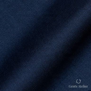 Драпировка ткани Vitale Barberis Canonico 8053 крупным планом