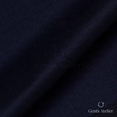 Драпировка ткани Vitale Barberis Canonico 8094 крупным планом