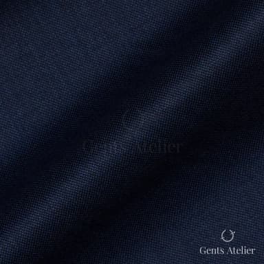 Драпировка ткани Vitale Barberis Canonico 8101 крупным планом
