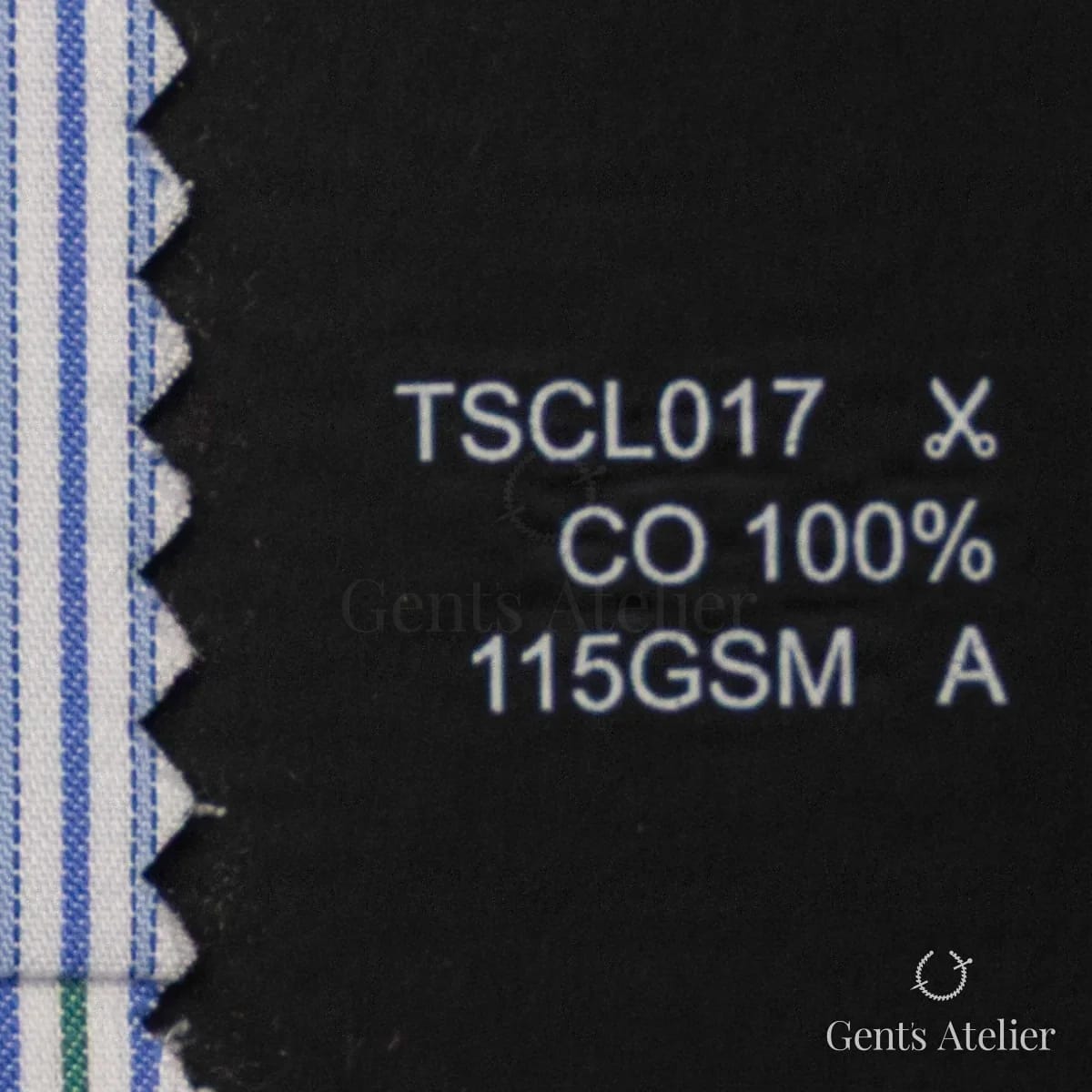 Образец ткани Geneva TSCL017 с этикеткой — Белый / Синий