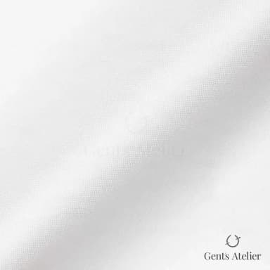 Драпировка ткани Geneva TSHL1138 крупным планом