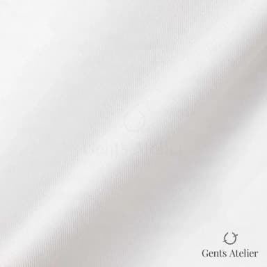 Драпировка ткани Geneva TSHL1149 крупным планом