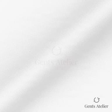 Драпировка ткани Canclini 4691-W010-0101 крупным планом