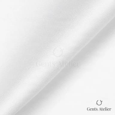 Драпировка ткани Canclini 4603-W886-0101 крупным планом