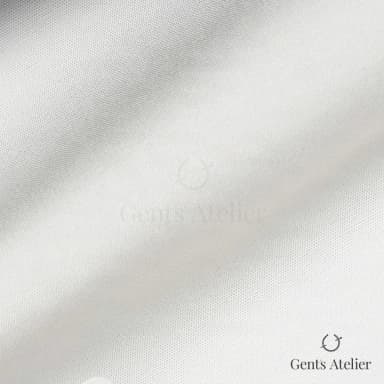 Драпировка ткани Canclini 3206-W010-0124 крупным планом