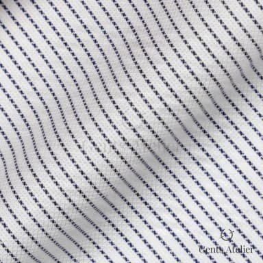 Драпировка ткани Canclini 0953E-W0490-0003 крупным планом